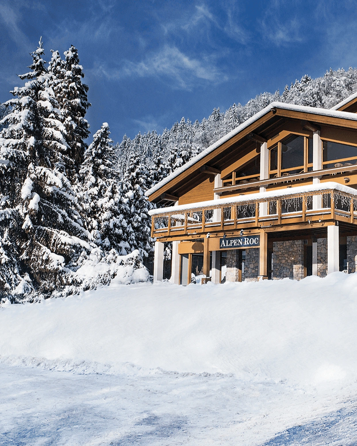 house cover picture